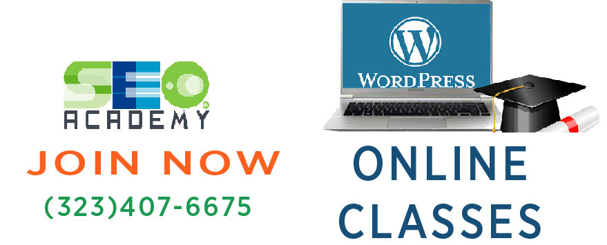 wordpress online classes